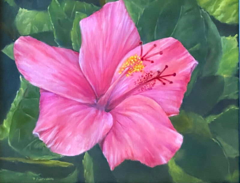 Pink Hibiscus by artist Pat Flathouse